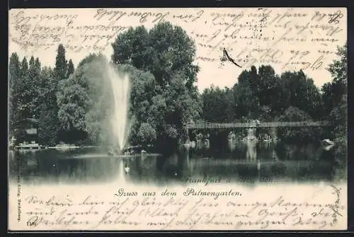 AK Frankfurt-Westend, Palmengarten mit Springbrunnen