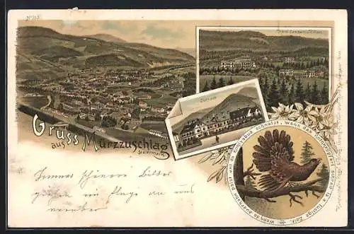 Lithographie Mürzzuschlag /Steiermark, Hotel Lambach und Villen, Kurhaus, Rotkröpferl