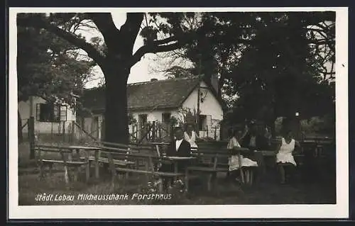 AK Wien, Städt. Lobau, Restaurant Forsthaus mit Milchausschank