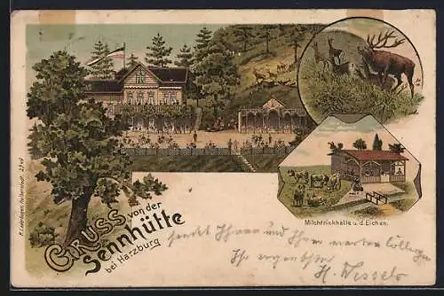 Lithographie Harzburg, Gasthaus Seenhütte, Milchtrinkhalle u. d. Eichen, Elch