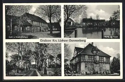 AK Grabow-Dannenberg, Birkendamm, Kneipp-Sanatorium, Gast- und Geschäftshaus, Teichpartie