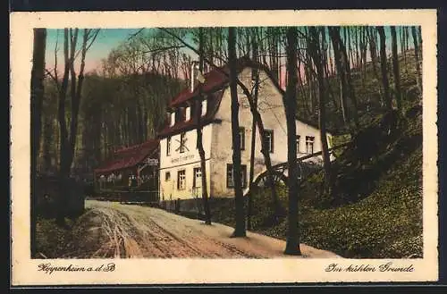 AK Heppenheim a. d. B., Gasthaus im kühlen Grunde