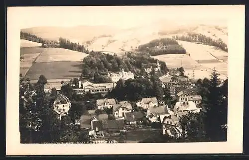 AK Nieder-Lindewiese /Gau Sudetenland, Panorama