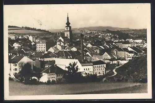 AK Trebic, Panorama