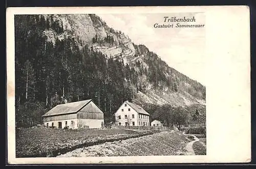 AK Wienerbruck, Gasthaus Trübenbach