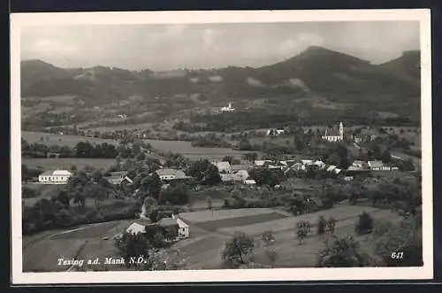 AK Texing a. d. Mank, Ortsansicht mit Kirche und gewaltigem Bergpanorama