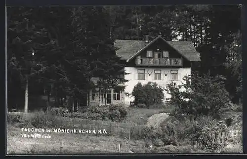 AK Tauchen bei Mönichkirchen, Kaffee-Pension Villa Waldfriede T. Dworcak, mit Waldweg