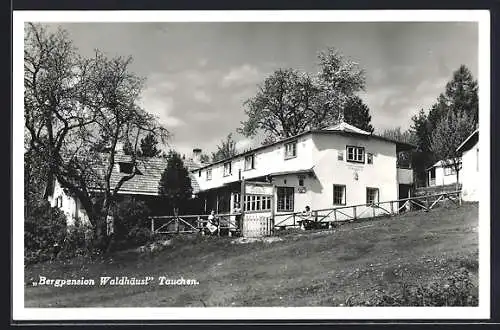 AK Tauchen, Gasthaus Bergpension Waldhäusl