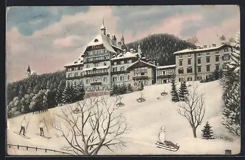 AK Semmering, Südbahnhotel im Winter, Skiläufer, Rodelschlitten