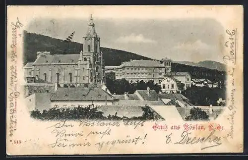 AK Vöslau, Ortspanorama mit Kirche