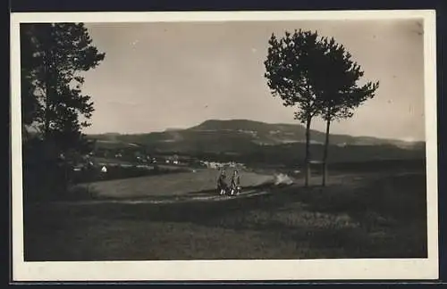 AK Bor, Ortsansicht aus der Ferne, mit Landstrasse