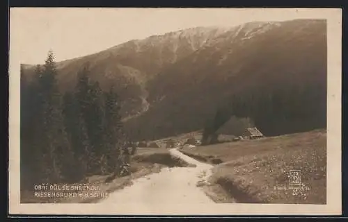 AK Riesengebirge, Riesengrund mit Schneekoppe