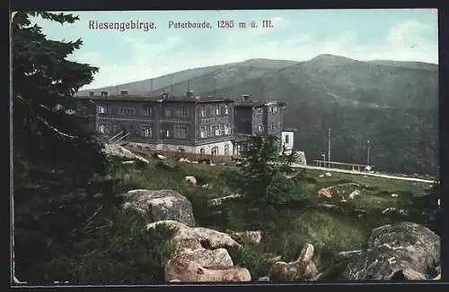 AK Peterbaude im Riesengebirge, Felsige Landschaft am Waldrand