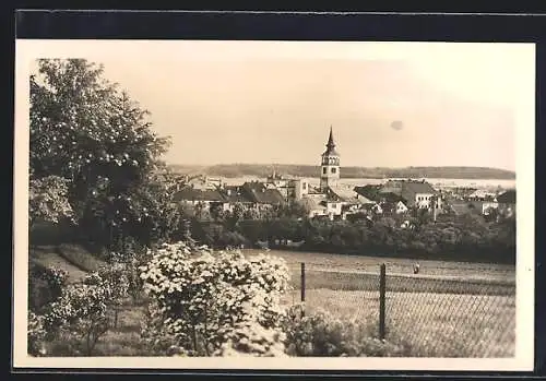 AK Dobruska, Teilansicht mit Bäumen