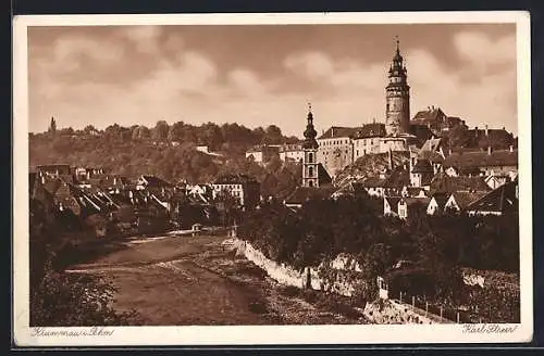 AK Krumau / Cesky Krumlov, Ortsansicht mit Moldau