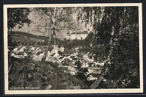 AK Winterberg /Böhmerwald, Ortsansicht mit Schloss