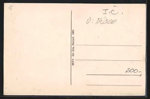 AK Bechyne, Partie na Luznici