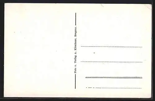 AK Bregenz am Bodensee, Teilansicht mit Kirche