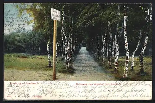 AK Hamburg-Hausbruch, Birkenweg vom Jägerhof zum Bahnhof