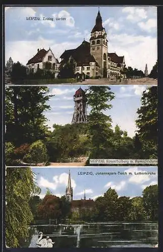 AK Leipzig, Zoologischer Garten, Rosenthalberg mit Aussichtsturm