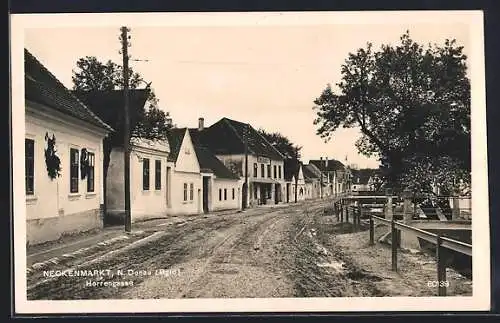 AK Neckenmarkt /Niederdonau, Herrengasse mit Brücke