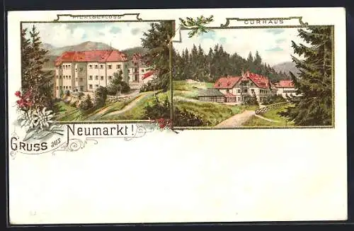 Lithographie Neumarkt in Steiermark, Pichlschloss, Blickzum Curhaus