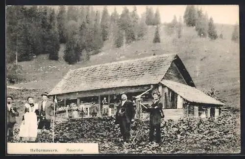 AK AK Hall bei Admont, Moseralm Hallermauern, Berghütte mit Wanderern