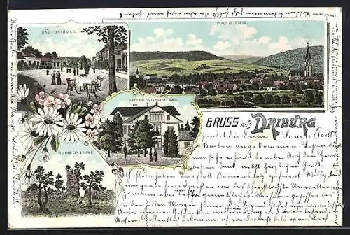 Lithographie Driburg, Kaiser Wilhelm-Bad, Ruine der Driburg, Strassenpartie und Totalansicht