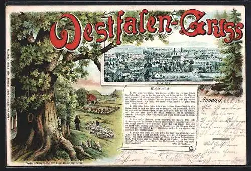 Lithographie Münster / Westfalen, Panorama, alte Eiche & Wetfalenlied