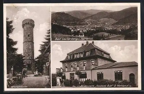 AK Bad Lauterberg, Ortsansicht aus der Vogelschau, Restaurant Goldene Aue und Partie am Knollenturm