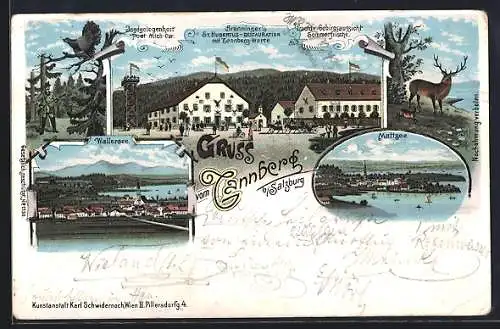 Lithographie Lochen am See, Gruss vom Tannberg, Gasthaus St. Hubertus, Mattsee, Wallersee