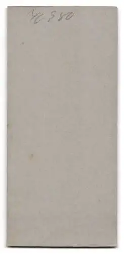 Fotografie R. Jandorf &amp Co., Berlin, Würdevoll posierende Dame