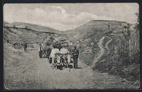 AK Bauern mit Ochsen-Heuwagen auf einer Landstrasse