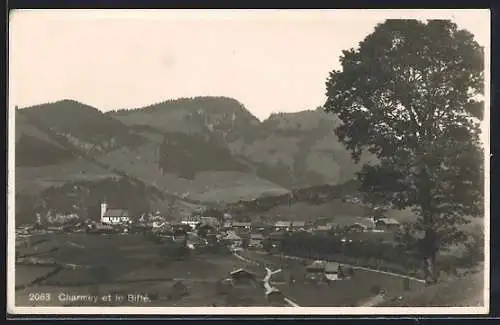 AK Charmey, Vue panoramique et le Biffé