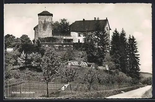 AK Wildenstein, Blick auf das Schloss