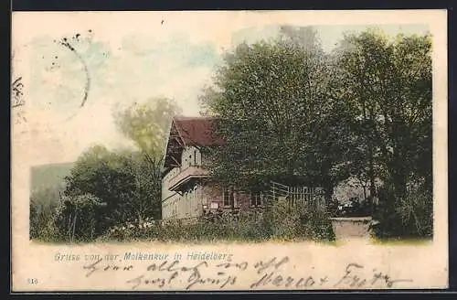 AK Heidelberg, Blick auf den Gasthof Molkenkur