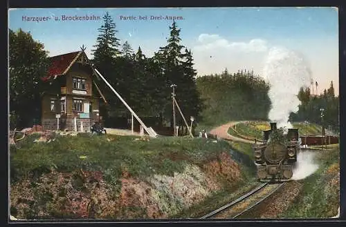 AK Brocken, Harz-Quer- und Brockenbahn am Gasthaus Drei-Annen