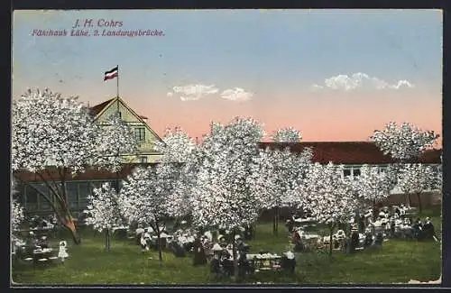 AK Lühe / Altenland, Gaststätte Fährhaus Lühe J. H. Cohrs, Gartenansicht mit Gästen