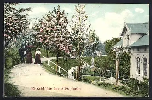 AK Altenlande, Kirschblüte, Villa und Spaziergänger