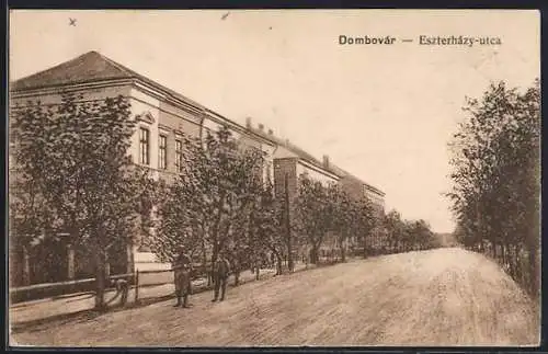 AK Domboár, Eszterházy-utca, Strassenpartie