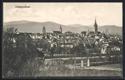 AK Hermannstadt, Teilansicht mit Kirchen