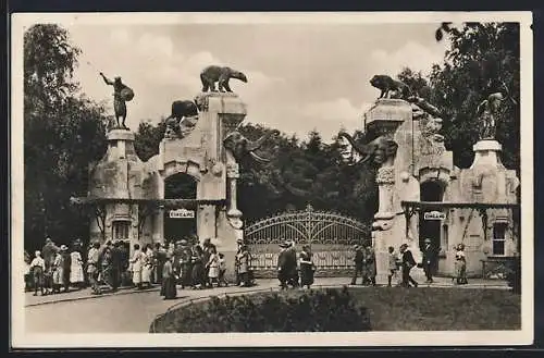 AK Hamburg-Stellingen, Carl Hagenbecks Tierpark, Haupteingang