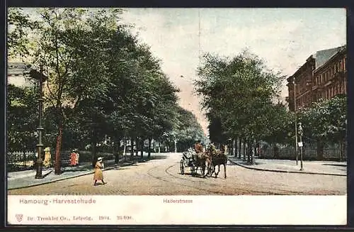 AK Hamburg-Harvestehude, Hallerstrasse, Strassenpartie mit Pferdedroschke