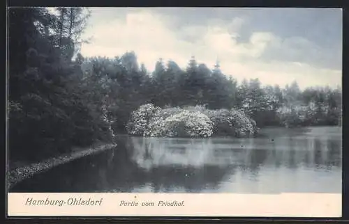 AK Hamburg, Der Friedhof in Ohlsdorf