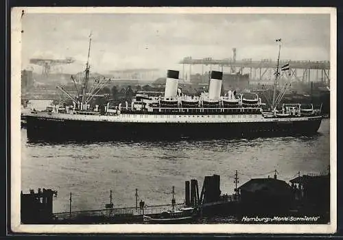 AK Hamburg, Passagierschiff Monte Sarmiento im Hafen