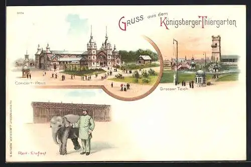 Lithographie Königsberg, Thiergarten mit Concert-Haus, grossem Teich und Reit-Elefant