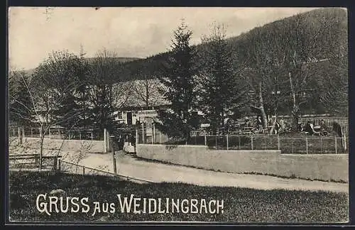 AK Weidlingbach, Joh. Fenz`s Gasthaus