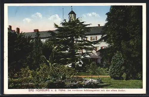 AK Bad Homburg v. d. Höhe, Im vorderen Schlossgarten mit der alten Zeder