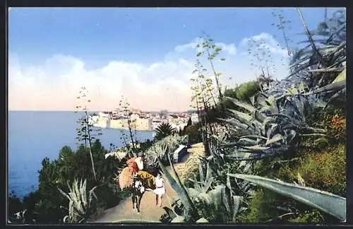 AK Dubrovnik, Panorama