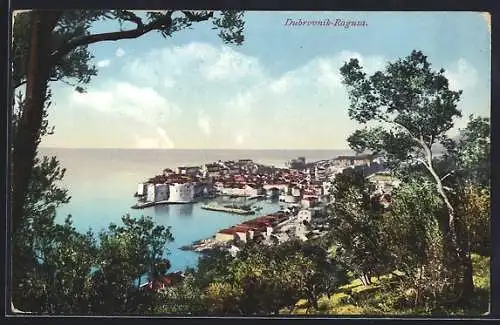 AK Dubrovnik, Panorama